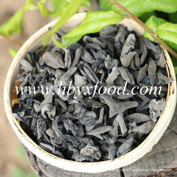 Delicious Chinese Food Dried Black Agaric